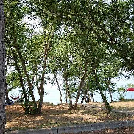 Mladan By El-pi Tours *